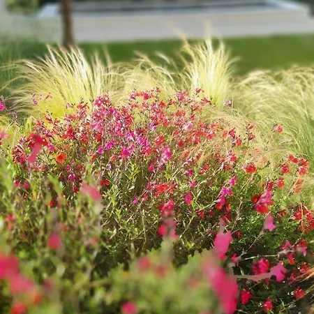 Bed & Breakfast Carre De Lune Villeneuve-les-Avignon