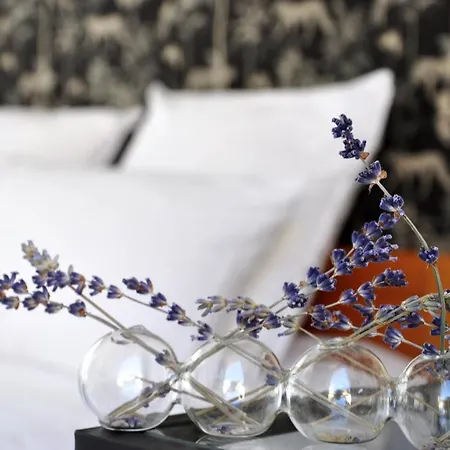 Carre De Lune Bed & Breakfast Villeneuve-les-Avignon