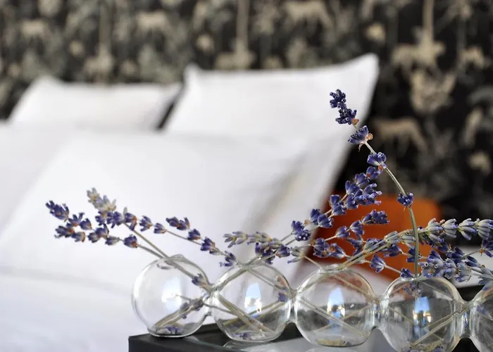 Carre De Lune Bed & Breakfast Villeneuve-lès-Avignon